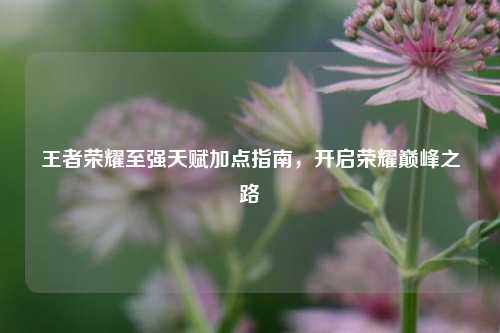 王者荣耀至强天赋加点指南,开启荣耀巅峰之路