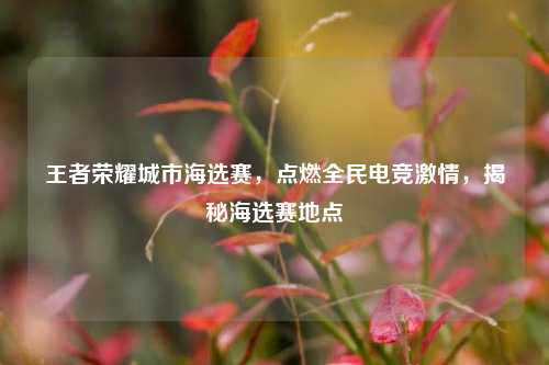 王者荣耀城市海选赛,点燃全民电竞激情,揭秘海选赛地点