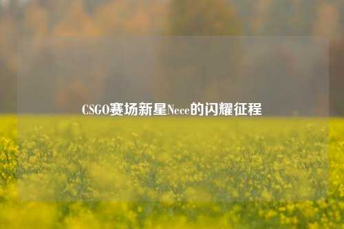 CSGO赛场新星Nece的闪耀征程
