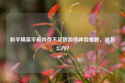 和平精英平板内存不足致游戏体验难题,该怎么办?