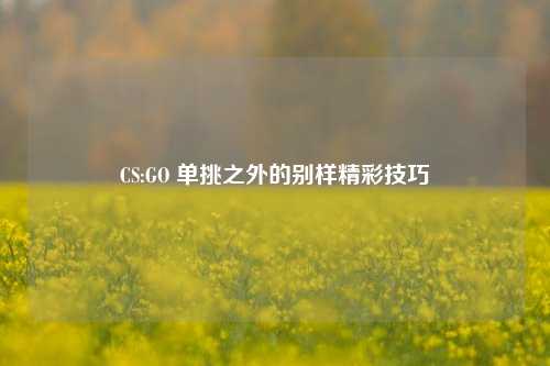 CS:GO 单挑之外的别样精彩技巧