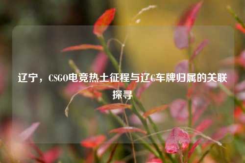 辽宁,CSGO电竞热土征程与辽C车牌归属的关联探寻