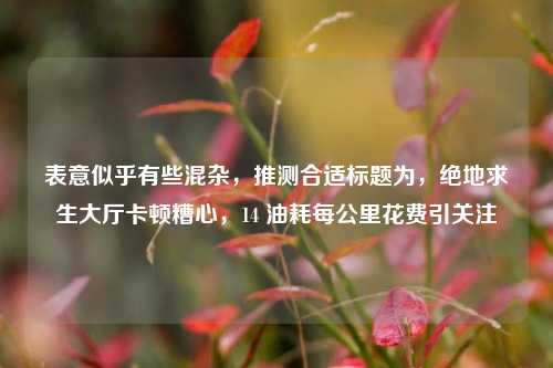 表意似乎有些混杂，推测合适标题为，绝地求生大厅卡顿糟心，14 油耗每公里花费引关注