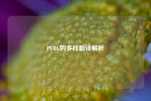 PUBG的多样翻译解析
