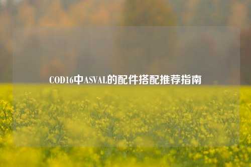 COD16中ASVAL的配件搭配推荐指南