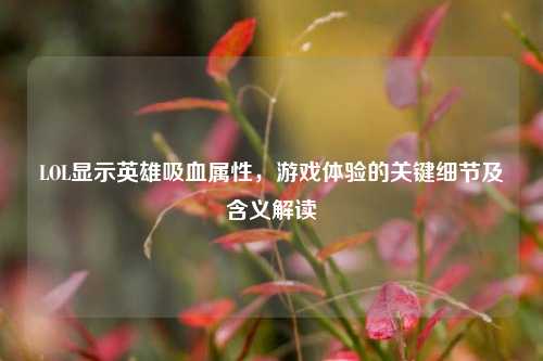 LOL显示英雄吸血属性,游戏体验的关键细节及含义解读