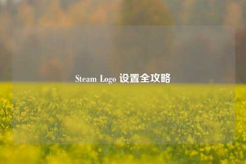 Steam Logo 设置全攻略