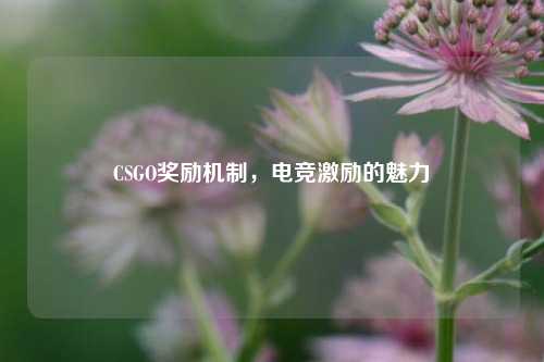 CSGO奖励机制,电竞激励的魅力