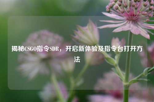 揭秘CSGO指令SDR,开启新体验及指令台打开方法