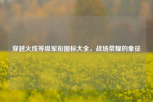 穿越火线等级军衔图标大全,战场荣耀的象征