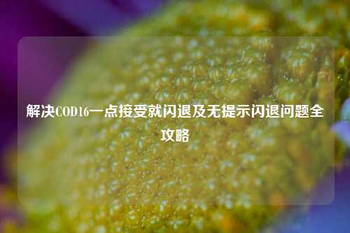 解决COD16一点接受就闪退及无提示闪退问题全攻略