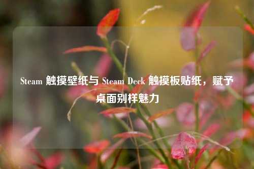 Steam 触摸壁纸与 Steam Deck 触摸板贴纸,赋予桌面别样魅力