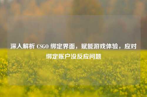 深入解析 CSGO 绑定界面，赋能游戏体验，应对绑定账户没反应问题