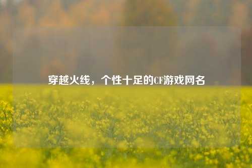 穿越火线,个性十足的CF游戏网名