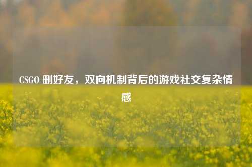 CSGO 删好友,双向机制背后的游戏社交复杂情感