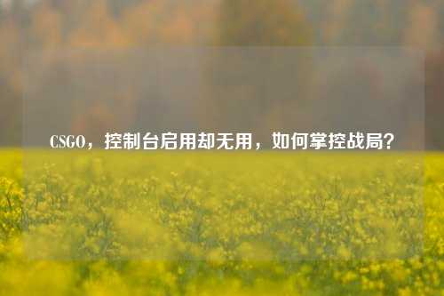 CSGO,控制台启用却无用,如何掌控战局?