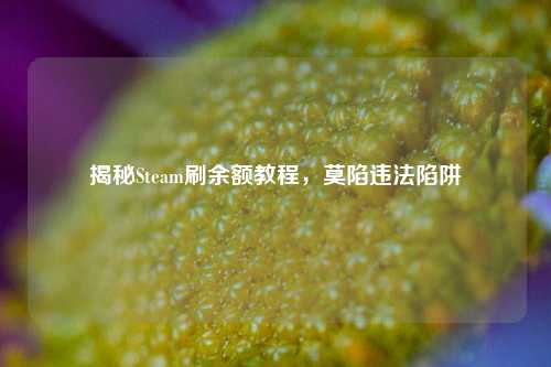 揭秘Steam刷余额教程,莫陷违法陷阱