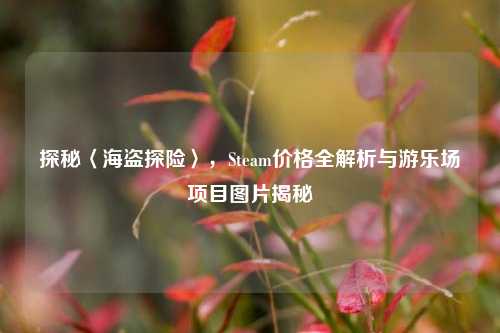 探秘〈海盗探险〉,Steam价格全解析与游乐场项目图片揭秘