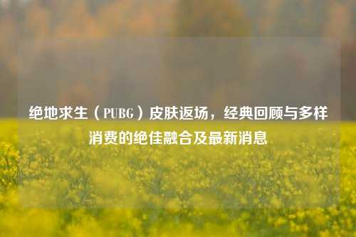 绝地求生(PUBG)皮肤返场,经典回顾与多样消费的绝佳融合及最新消息
