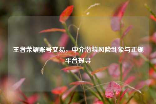 王者荣耀账号交易,中介潜藏风险乱象与正规平台探寻