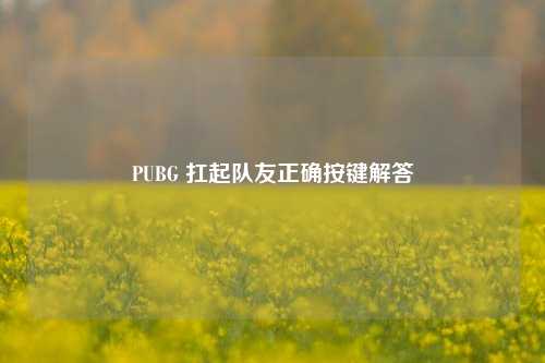 PUBG 扛起队友正确按键解答