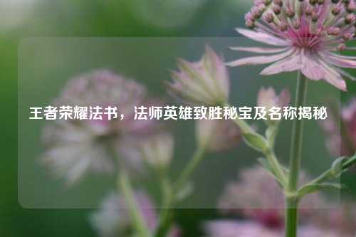 王者荣耀法书,法师英雄致胜秘宝及名称揭秘