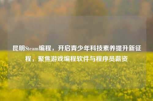 昆明Steam编程,开启青少年科技素养提升新征程,聚焦游戏编程软件与程序员薪资