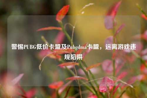 警惕PUBG低价卡盟及Pubgdma卡盟，远离游戏违规陷阱