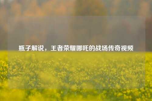 瓶子解说,王者荣耀哪吒的战场传奇视频