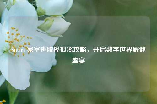Steam 密室逃脱模拟器攻略,开启数字世界解谜盛宴