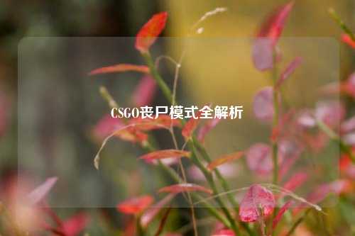 CSGO丧尸模式全解析