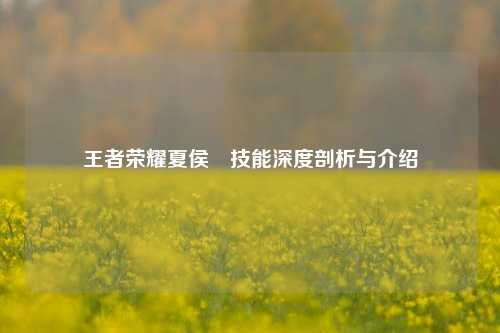 王者荣耀夏侯惇技能深度剖析与介绍