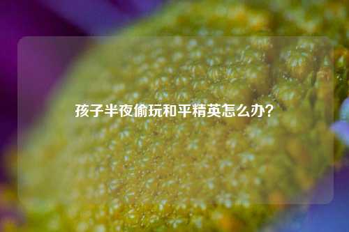 孩子半夜偷玩和平精英怎么办？