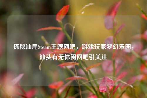 探秘汕尾Steam主题网吧，游戏玩家梦幻乐园，汕头有无休闲网吧引关注