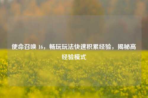使命召唤 16,畅玩玩法快速积累经验,揭秘高经验模式