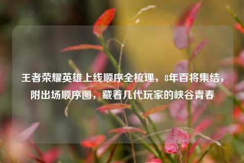 王者荣耀英雄上线顺序全梳理，8年百将集结，附出场顺序图，藏着几代玩家的峡谷青春