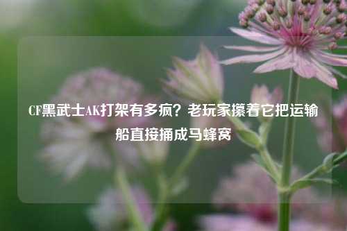 CF黑武士AK打架有多疯?老玩家攥着它把运输船直接捅成马蜂窝