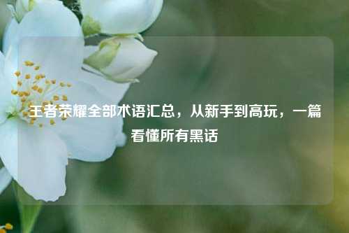 王者荣耀全部术语汇总,从新手到高玩,一篇看懂所有黑话