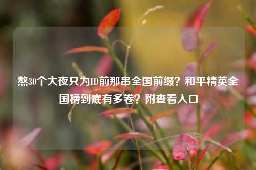 熬30个大夜只为ID前那串全国前缀？和平精英全国榜到底有多卷？附查看入口