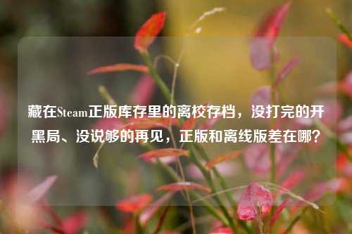 藏在Steam正版库存里的离校存档，没打完的开黑局、没说够的再见，正版和离线版差在哪？