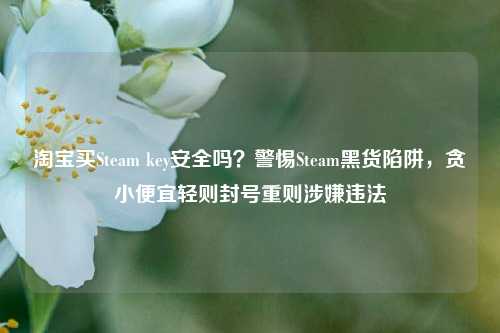 淘宝买Steam key安全吗?警惕Steam黑货陷阱,贪小便宜轻则封号重则涉嫌违法