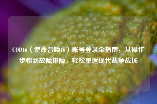 COD16（使命召唤16）账号登录全指南，从操作步骤到故障排障，轻松重返现代战争战场