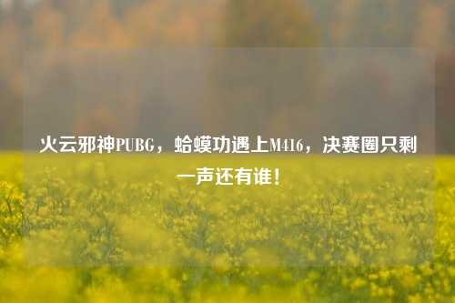 火云邪神PUBG,蛤蟆功遇上M416,决赛圈只剩一声还有谁!