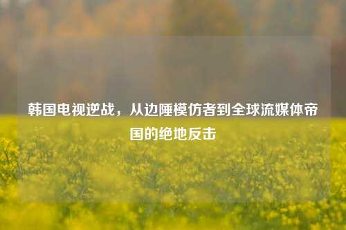 韩国电视逆战,从边陲模仿者到全球流媒体帝国的绝地反击