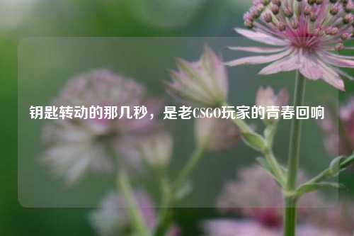 钥匙转动的那几秒，是老CSGO玩家的青春回响