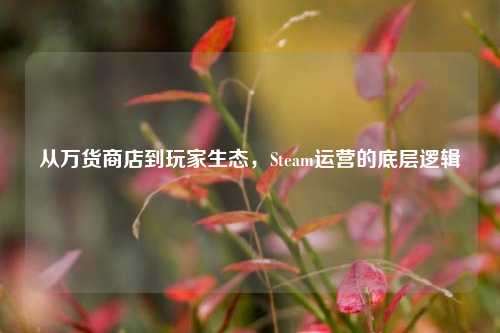 从万货商店到玩家生态,Steam运营的底层逻辑