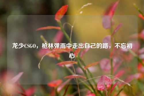 龙少CSGO,枪林弹雨中走出自己的路,不忘初心