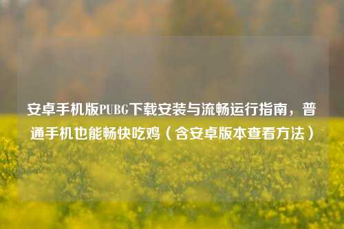 安卓手机版PUBG下载安装与流畅运行指南,普通手机也能畅快吃鸡(含安卓版本查看方法)