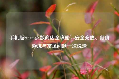 手机版Steam点数商店全攻略,安全充值、低价避坑与常见问题一次说清