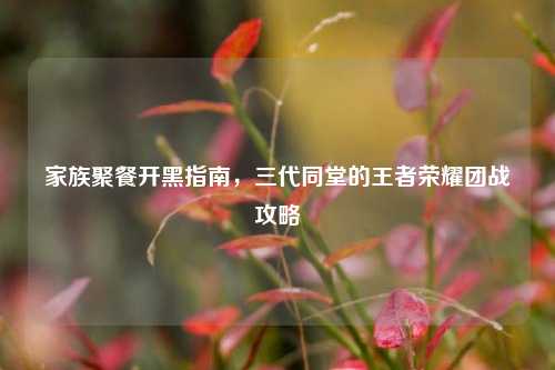 家族聚餐开黑指南,三代同堂的王者荣耀团战攻略